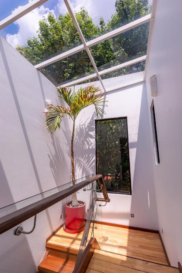 Casa Blanca In Coyoacan Mexico-stad Buitenkant foto